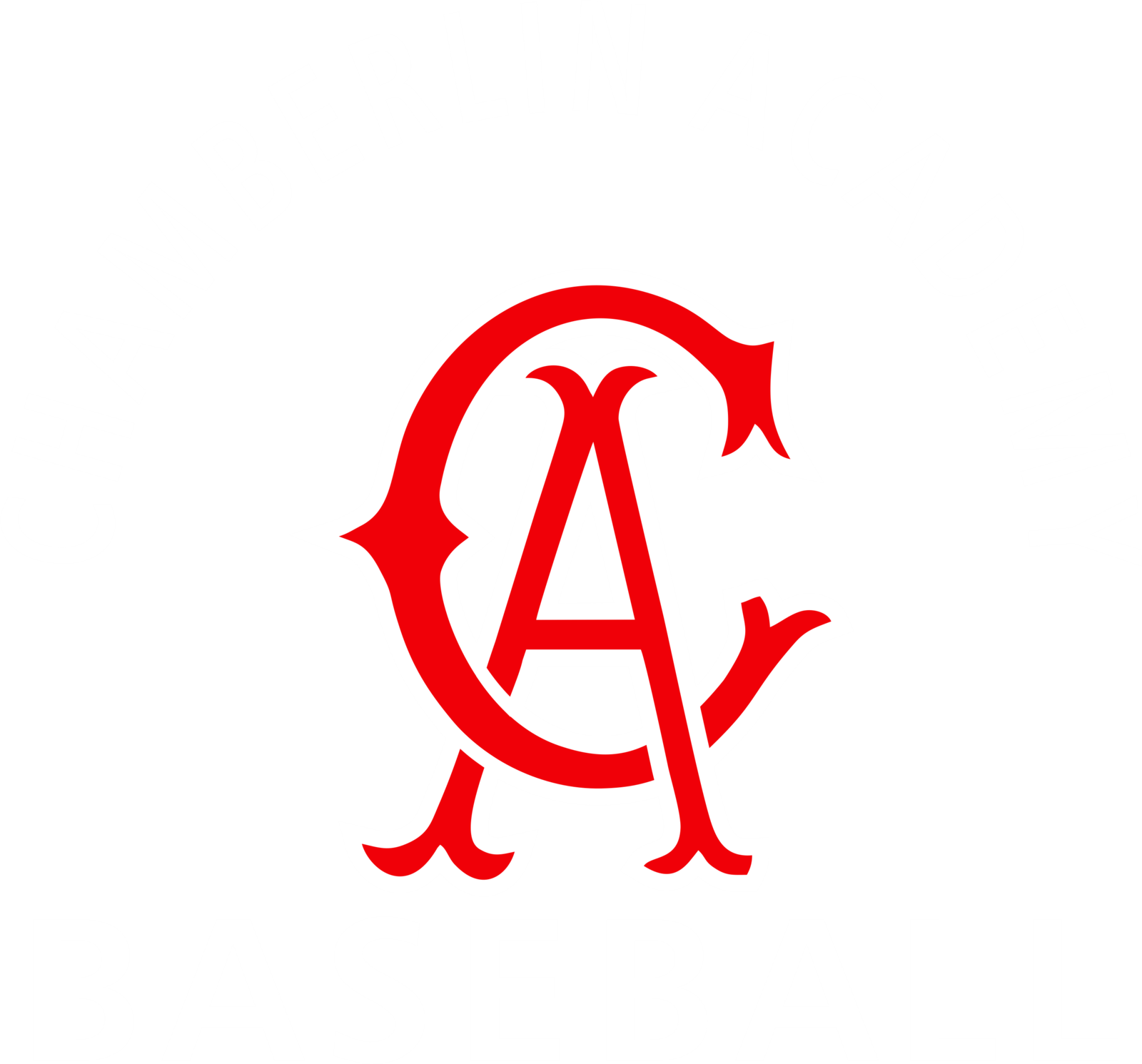 Chamberlin Baseball Academy logo