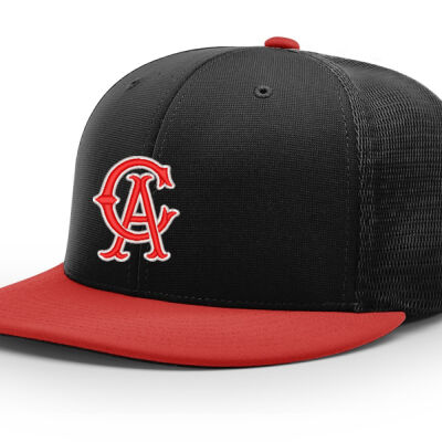 Chamberlin Baseball Academy  - PULSE/MESH BACK R-FLEX Thumbnail